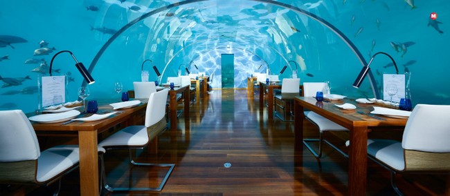 Ithaa Undersea, The Maldives