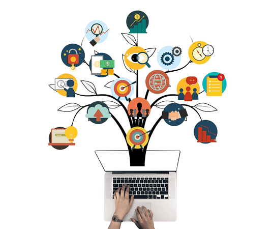 Tracking Referral Process